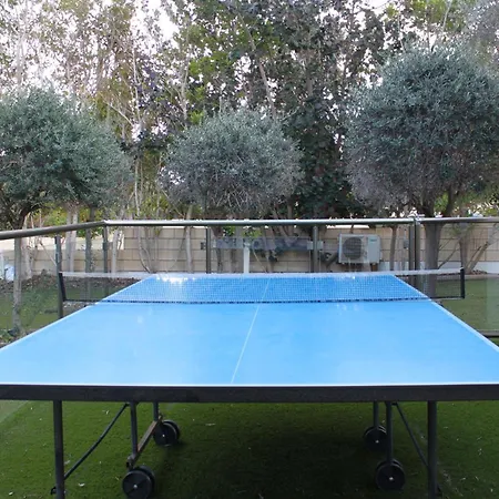 别墅 The Olive Tree 普罗塔拉斯