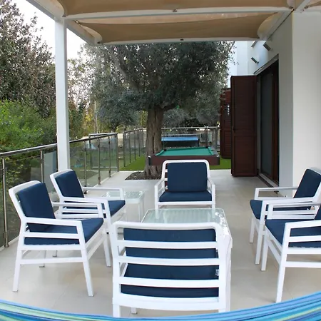 The Olive Tree