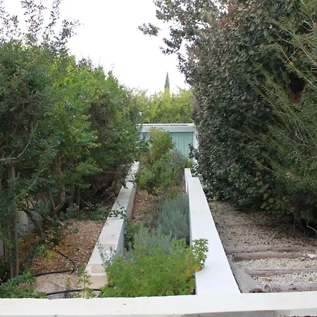 别墅 The Olive Tree