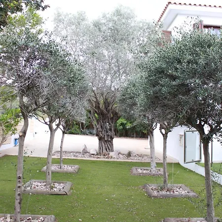 The Olive Tree Villa Protaras