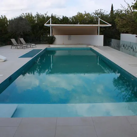 The Olive Tree