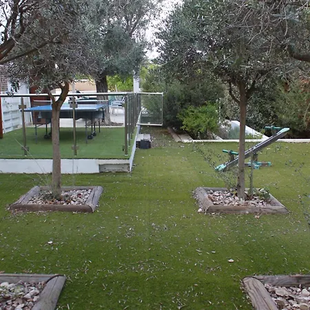 Vila The Olive Tree *